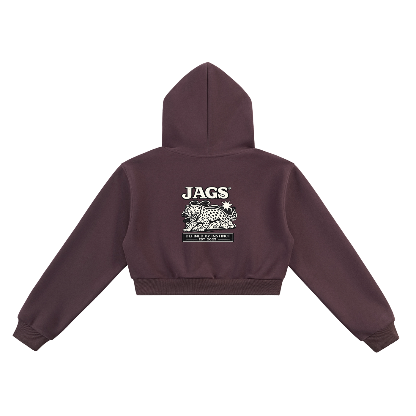 JAGS- Declaration Cropped hoodie