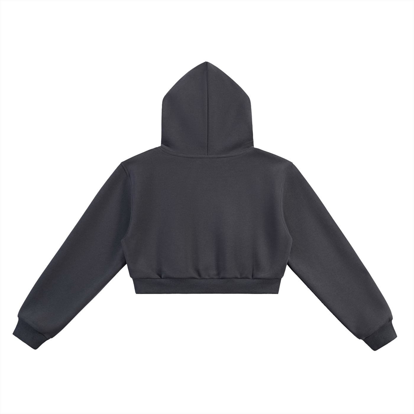 JAGS- Signature cropped hoodie