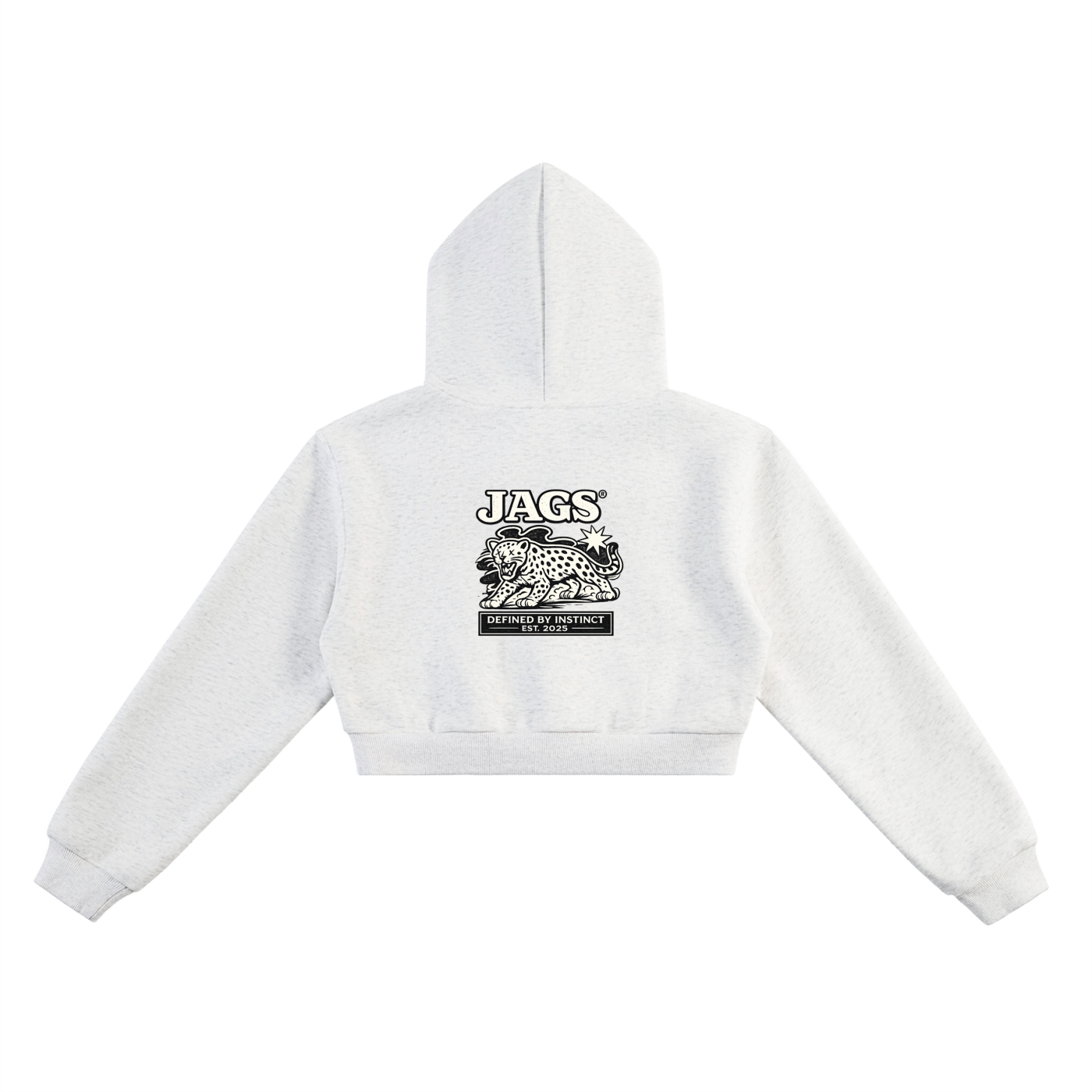 JAGS- Declaration Cropped hoodie