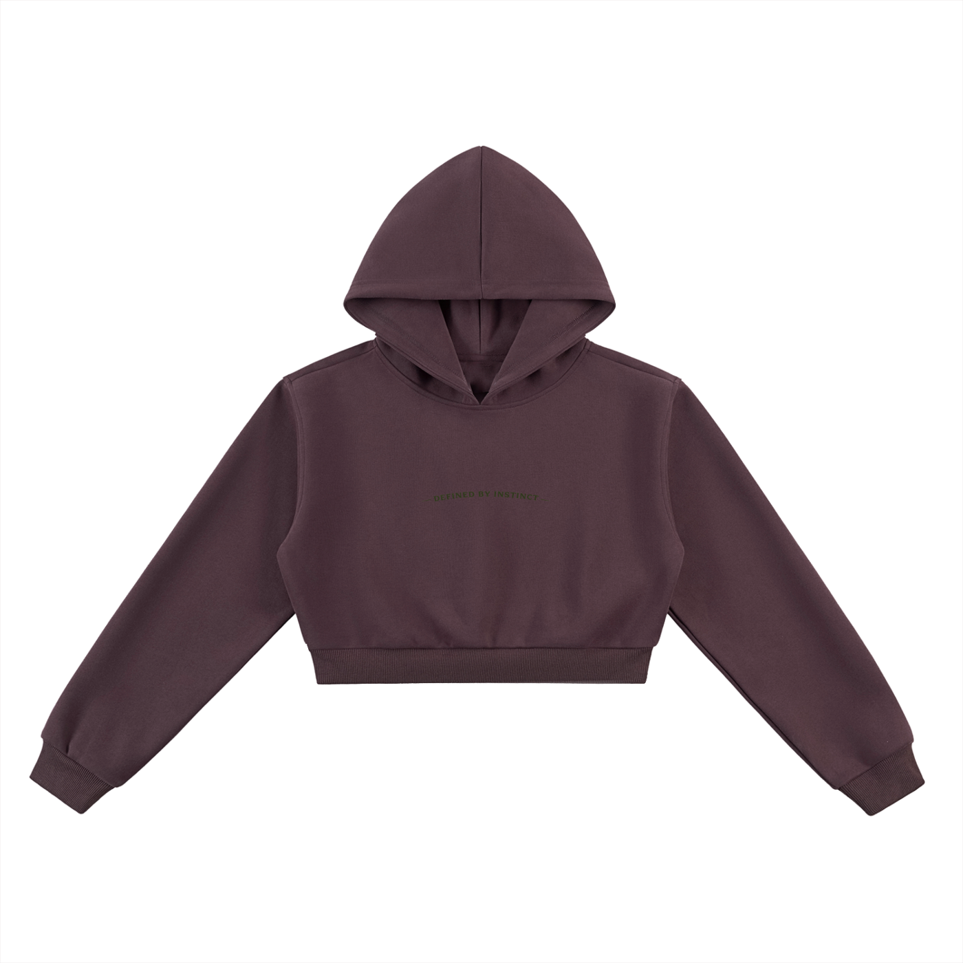JAGS-declaration cropped hoodie