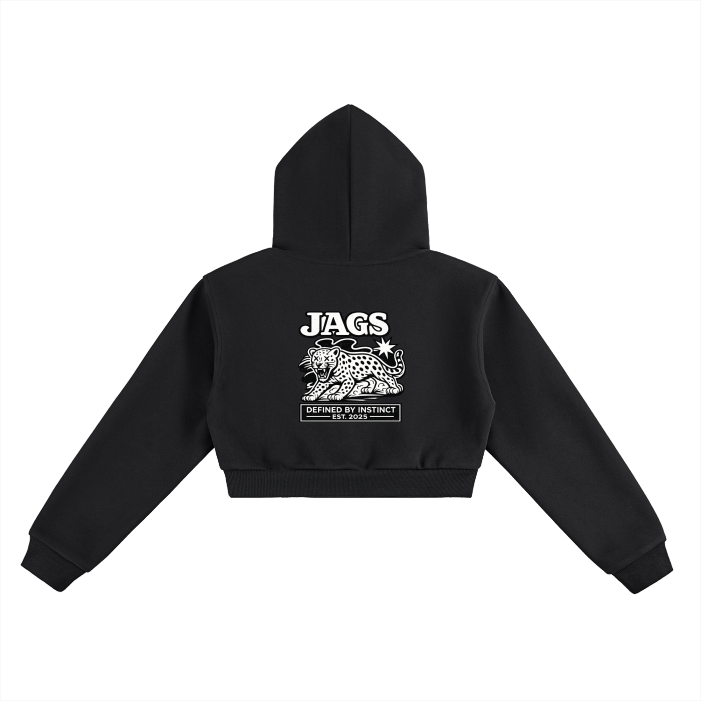 JAGS-declaration cropped hoodie