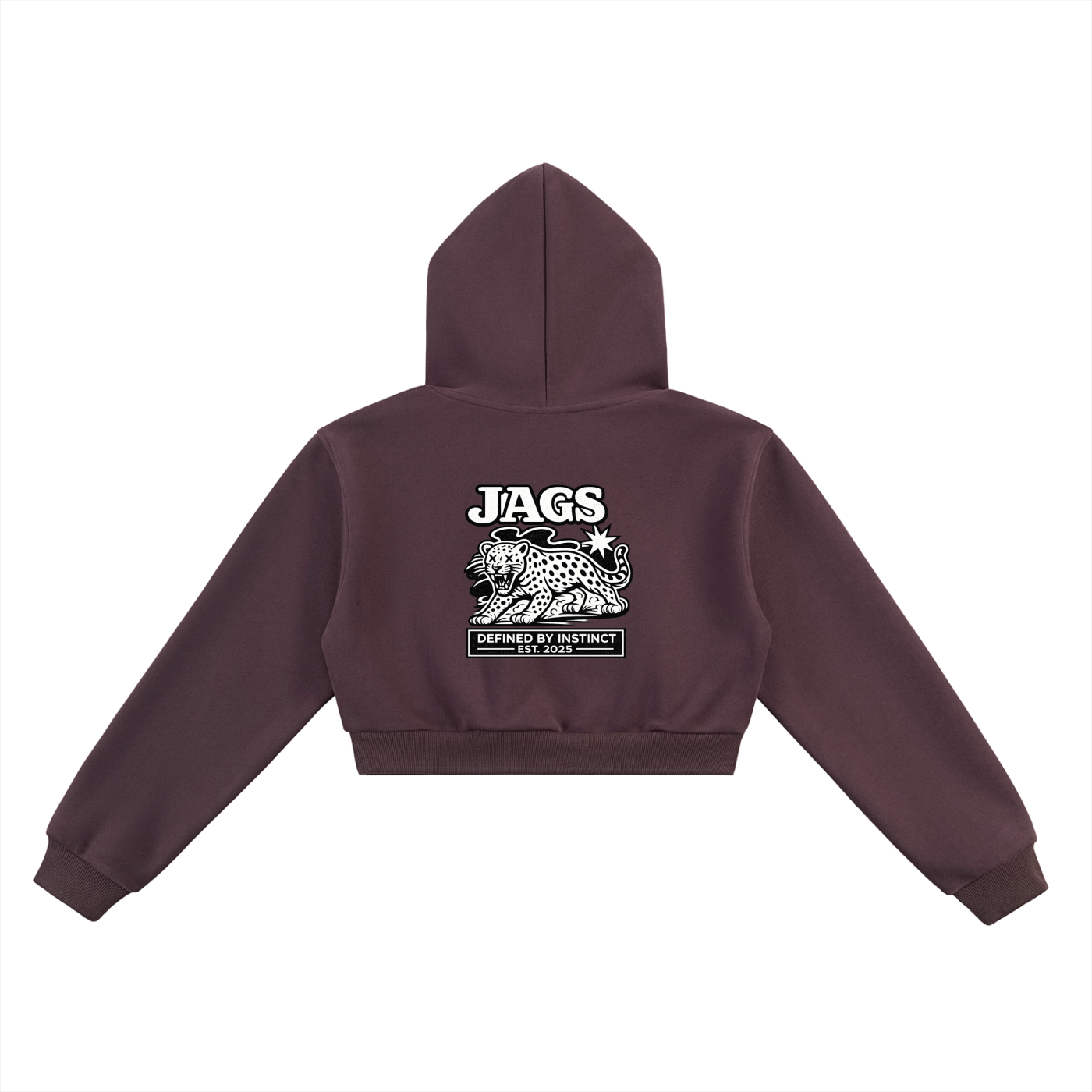 JAGS-declaration cropped hoodie