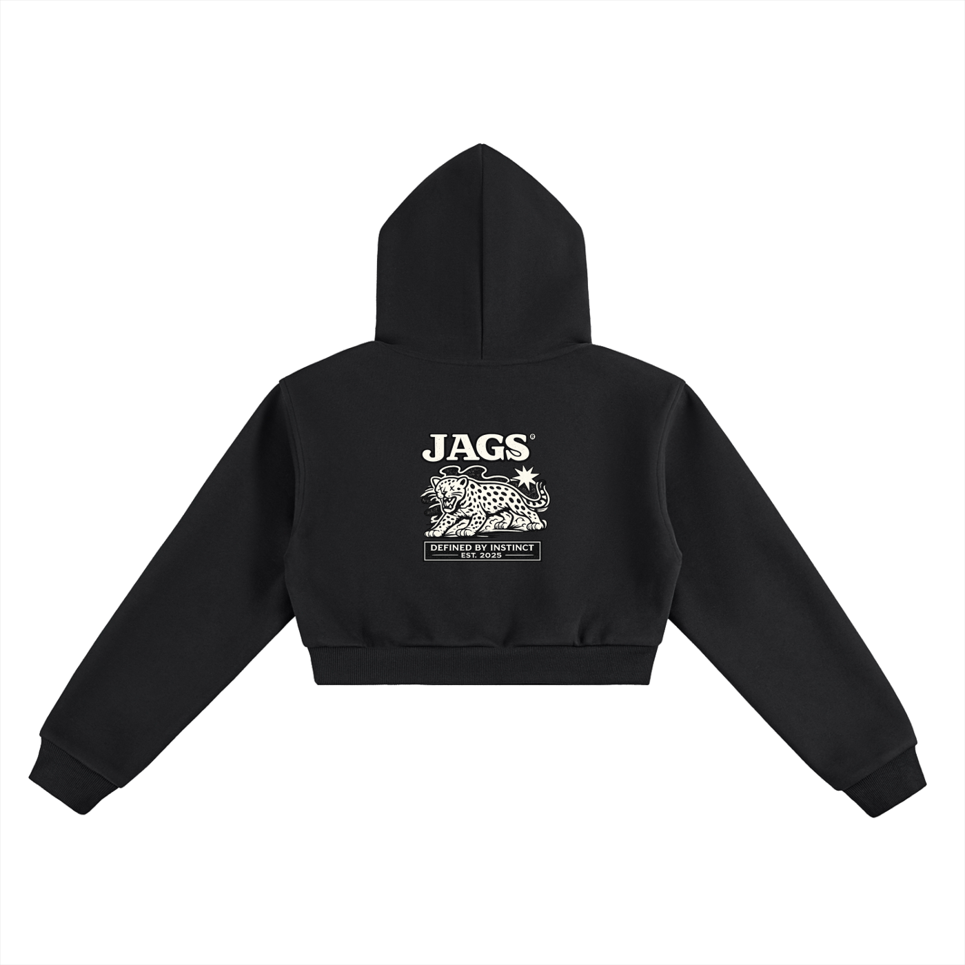 JAGS- Declaration Cropped hoodie