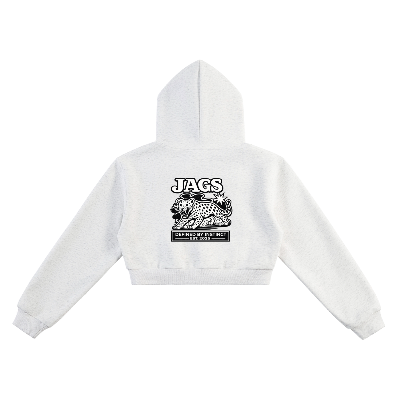 JAGS-declaration cropped hoodie